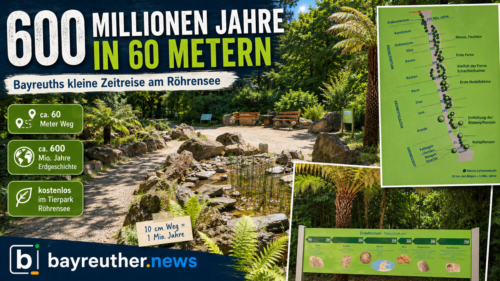 600 Millionen Jahre in 60 Metern: Bayreuths kleine Zeitreise am Röhrensee